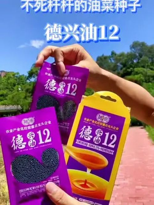 油菜种子爆款热卖，助力三农发展与优质农产品升级