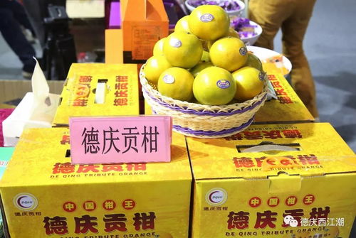 德庆50余种农产品闪耀广东现代农业博览会，多举措强化网络安全与种苗管理保障农业高质量发展