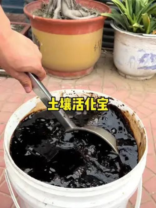 土壤活化宝 种好菜、养好花的秘密武器，优质农产品助力三农腾飞