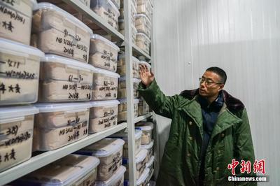 探访全球唯一农作物种质资源复份库 守护人类未来的“种子银行”