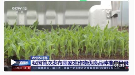 我国‘种业振兴行动’取得积极进展，今年农作物种子总体供大于求