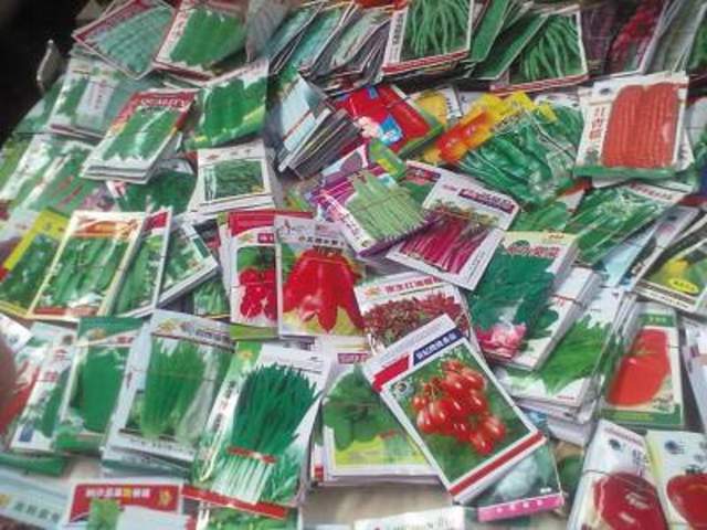 为何农作物种子包装标注“不得留种”？留种的潜在后果解析