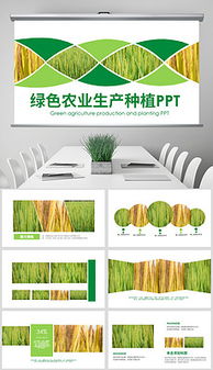 农作物种子高效种植指南 从选种到丰收的实战模板